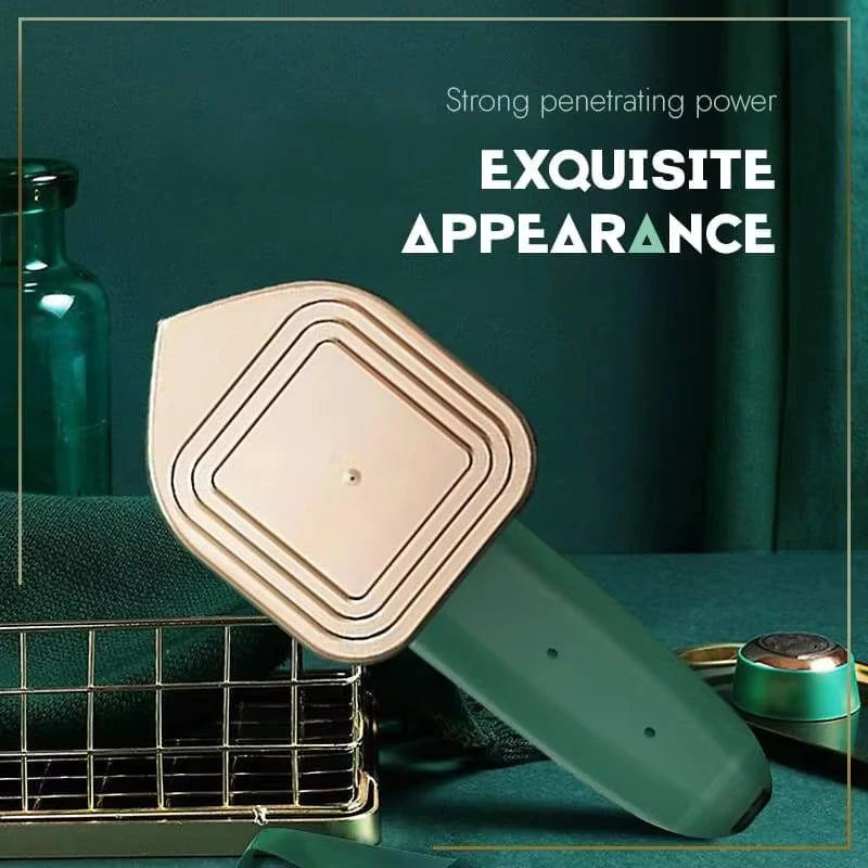 Professional Portable Steam Iron